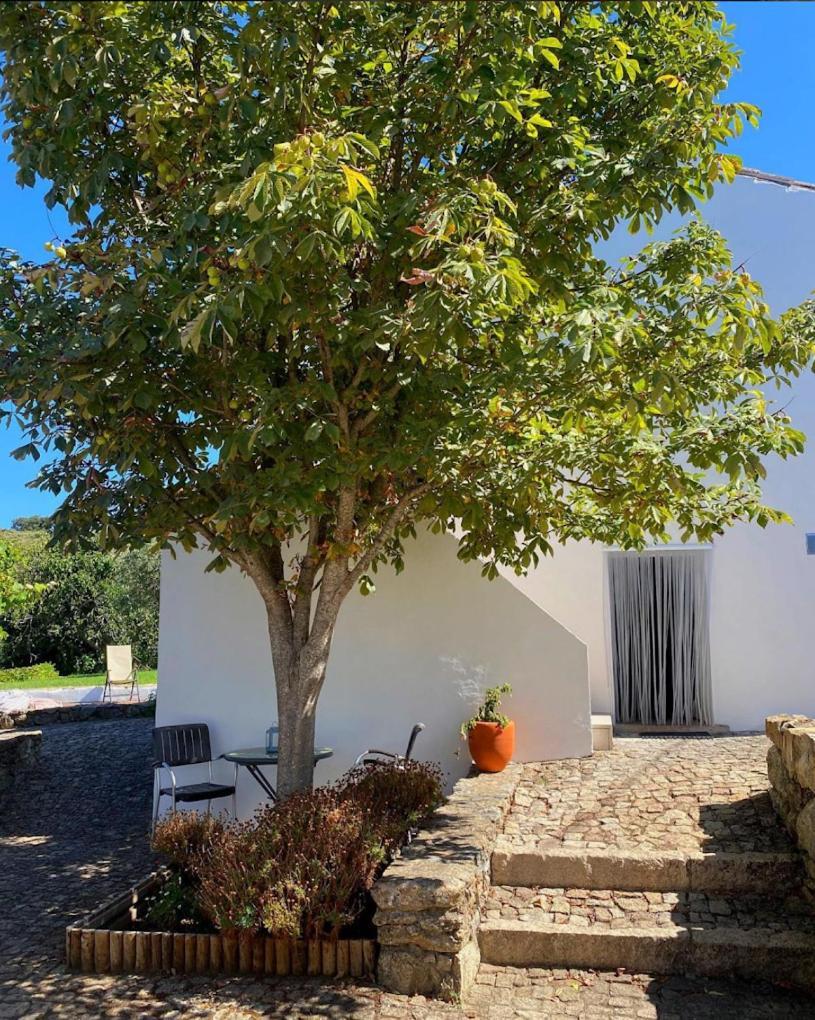 Quinta D'Abegoa Villa Marvão Kültér fotó